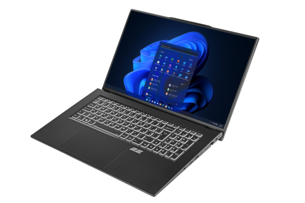 Ноутбук 2E Complex Pro 17 17.3″ NS70PU-17UA35