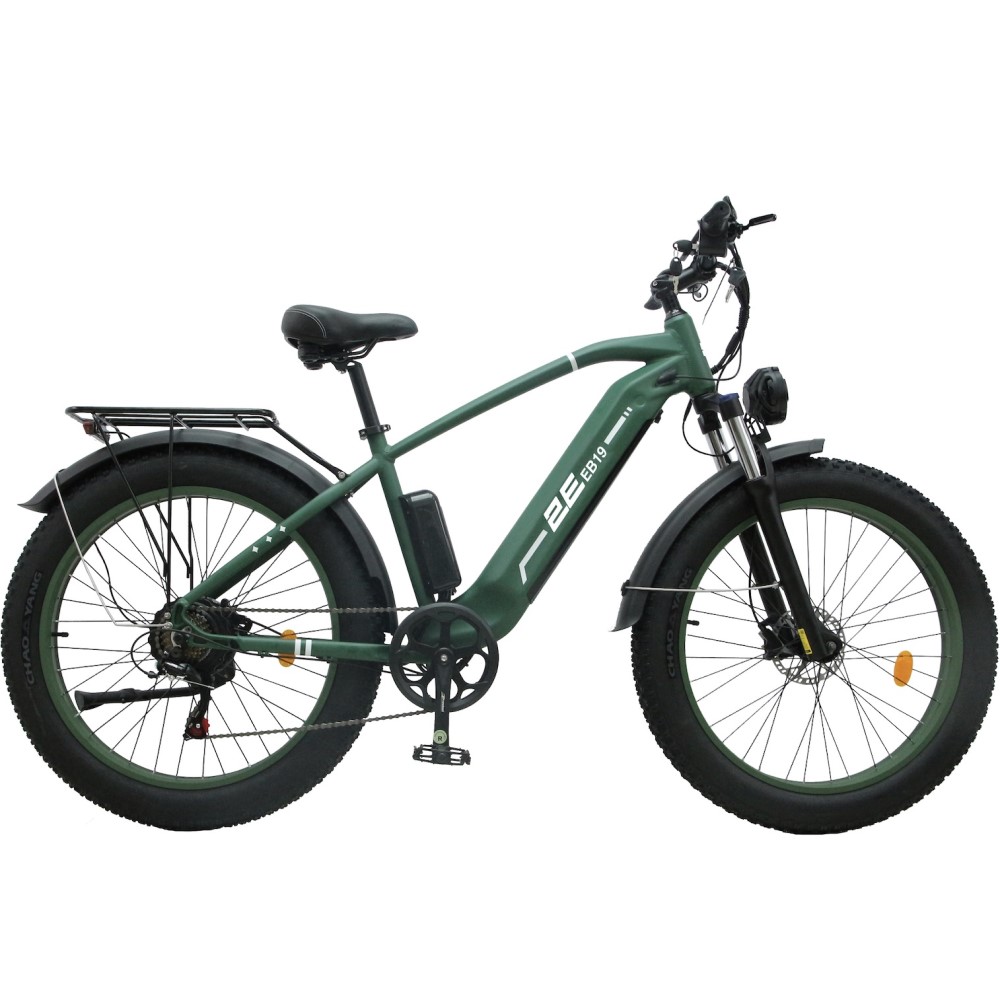 Electric Bikes