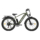 Electricbike EB19, 26″, dark green