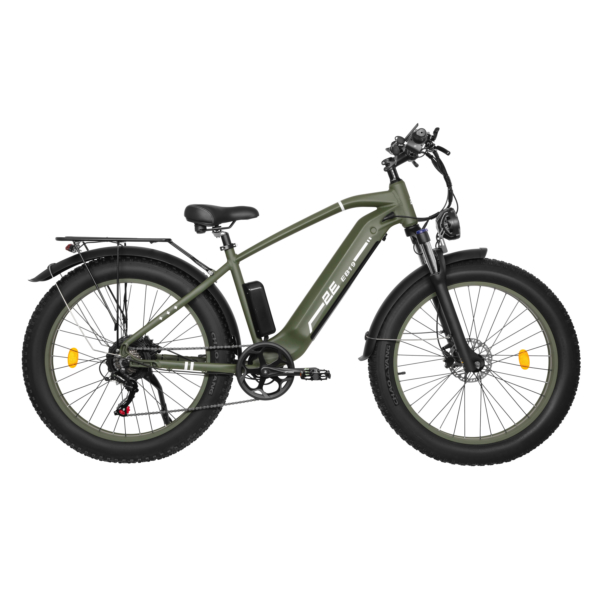 Electricbike EB19, 26″, dark green