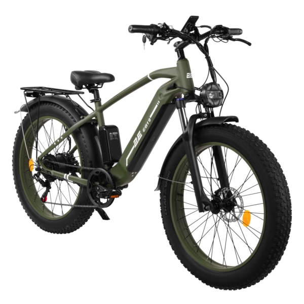 Electricbike EB19, 26″, dark green