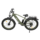 Electricbike EB19, 26″, dark green