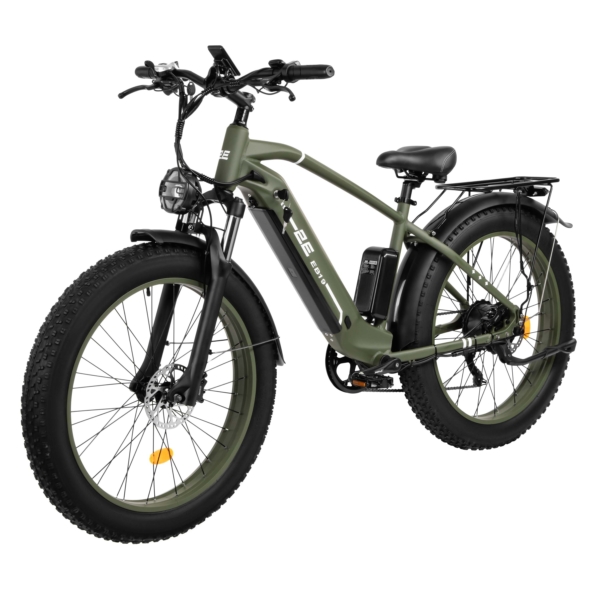 Electricbike EB19, 26″, dark green