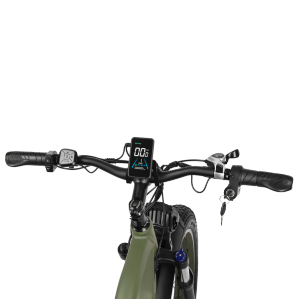 Electricbike EB19, 26″, dark green