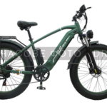 Electricbike EB19, 26″, dark green