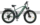 Electricbike EB19, 26″, dark green