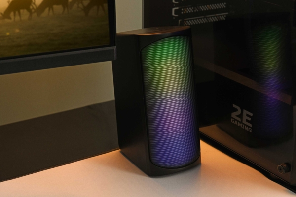 2E Multimedia speaker PCS231 RGB Matrix, 2.0, USB, Black