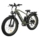 2E Electricbike EB19, 26″, dark green