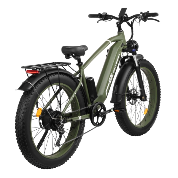 2E Electricbike EB19, 26″, dark green