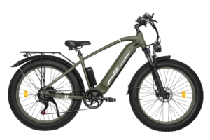 Conquer Roads with Ease with the 2E EB19 Electric Bicycle!